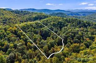 206 Willow Ln, Rosman, NC 28772 - Photo 37