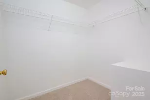 1878 Pekin Rd, Candor, NC 27229 - Photo 19