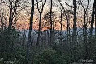 37 Wood Robin Ln, Black Mountain, NC 28711 - Photo 41