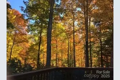 37 Wood Robin Lane, Black Mountain, NC 28711 - Photo 39