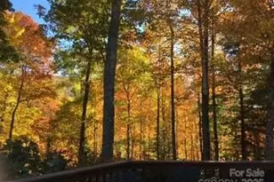 37 Wood Robin Ln, Black Mountain, NC 28711 - Photo 39