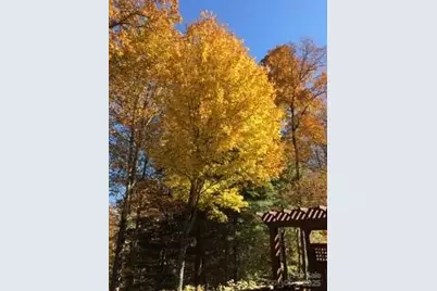 37 Wood Robin Lane, Black Mountain, NC 28711 - Photo 35