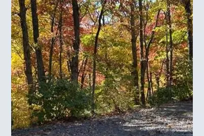 37 Wood Robin Lane, Black Mountain, NC 28711 - Photo 43