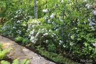 37 Wood Robin Ln, Black Mountain, NC 28711 - Photo 33