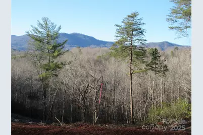 000 Levi Road, Columbus, NC 28722 - Photo 17