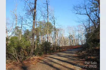 000 Levi Road, Columbus, NC 28722 - Photo 29