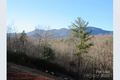 000 Levi Road, Columbus, NC 28722 - Photo 11