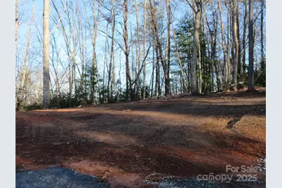 000 Levi Road, Columbus, NC 28722 - Photo 19