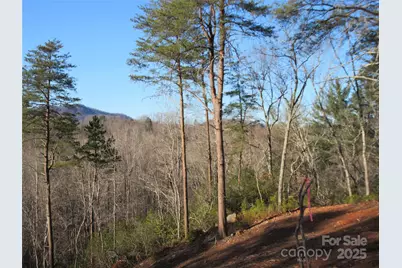 000 Levi Road, Columbus, NC 28722 - Photo 13