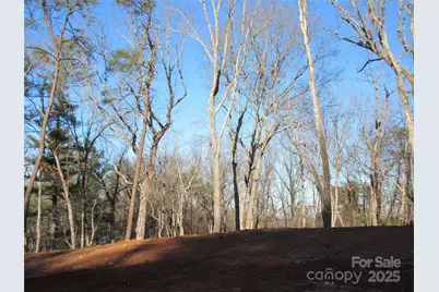000 Levi Road, Columbus, NC 28722 - Photo 23