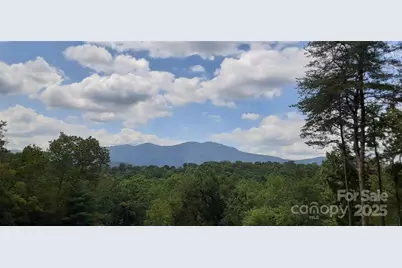 000 Levi Road, Columbus, NC 28722 - Photo 5