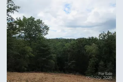 000 Levi Road, Columbus, NC 28722 - Photo 45