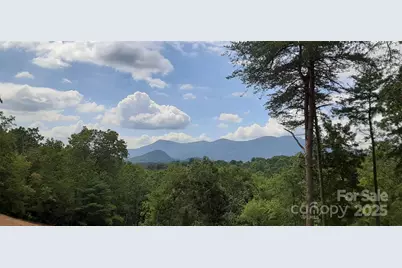 000 Levi Road, Columbus, NC 28722 - Photo 1