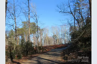 000 Levi Road, Columbus, NC 28722 - Photo 31