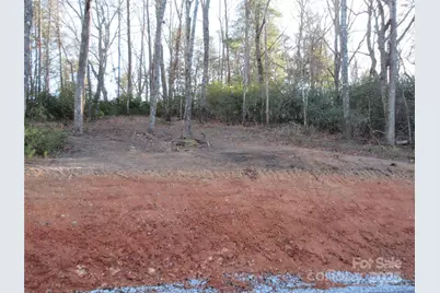 000 Levi Road, Columbus, NC 28722 - Photo 21
