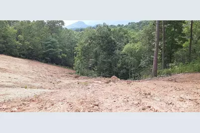 000 Levi Road, Columbus, NC 28722 - Photo 9