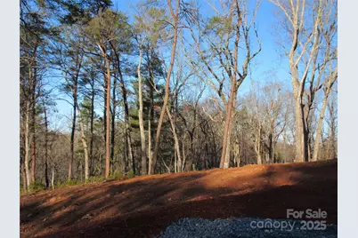 000 Levi Road, Columbus, NC 28722 - Photo 15