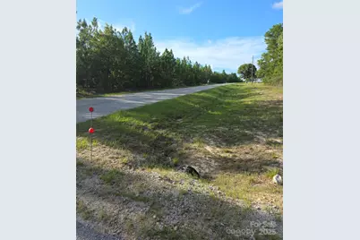 2939 Landfill Road, Mount Croghan, SC 29727 - Photo 11