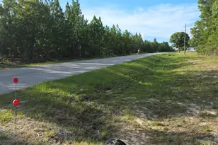 2939 Landfill Rd, Mount Croghan, SC 29727 - Photo 11