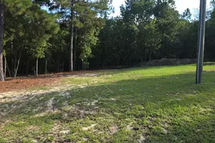 2939 Landfill Rd, Mount Croghan, SC 29727 - Photo 9