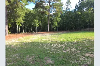 2939 Landfill Road, Mount Croghan, SC 29727 - Photo 7