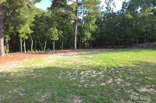 2939 Landfill Rd, Mount Croghan, SC 29727 - Photo 7