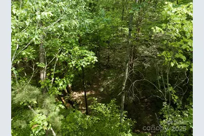 0 W Mills Street, Columbus, NC 28722 - Photo 25