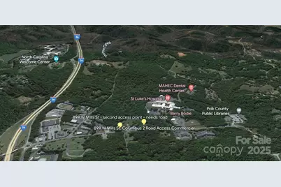 0 W Mills Street, Columbus, NC 28722 - Photo 11