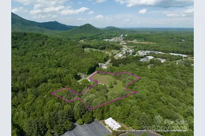 899 W Mills Street, Columbus, NC 28722 - Photo 3