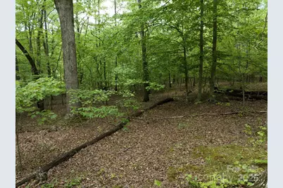 899 W Mills Street, Columbus, NC 28722 - Photo 21