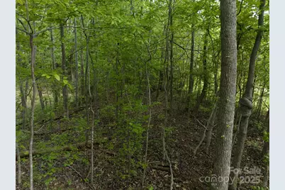 899 W Mills Street, Columbus, NC 28722 - Photo 17