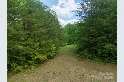 899 W Mills Street, Columbus, NC 28722 - Photo 15