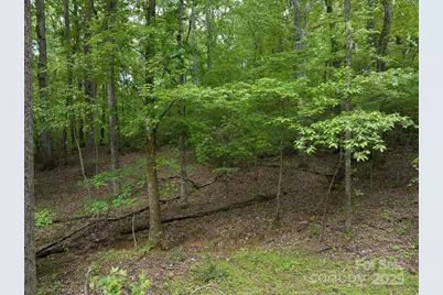 899 W Mills Street, Columbus, NC 28722 - Photo 19