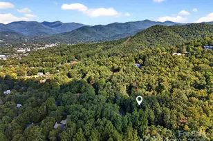 31 Timber Park Dr, Black Mountain, NC 28711 - Photo 7