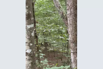 Lot 26 Zinzendorf Lane #26, Moravian Falls, NC 28654 - Photo 11