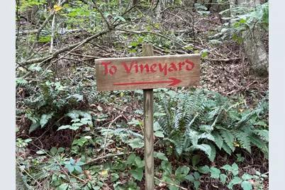 Lot 26 Zinzendorf Lane #26, Moravian Falls, NC 28654 - Photo 13