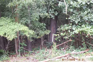 5034 Green Rd, Heath Springs, SC 29058 - Photo 29