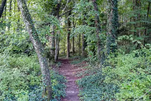 102 Boyd Dr, Flat Rock, NC 28731 - Photo 27