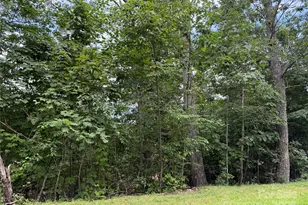Lot 20 Heritage Ridge Rd, Burnsville, NC 28714 - Photo 7