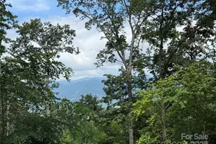 Lot 20 Heritage Ridge Rd, Burnsville, NC 28714 - Photo 5