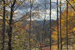 Tbd Globe Rd, Lenoir, NC 28645 - Photo 1