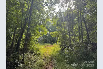 Tbd Globe Road, Lenoir, NC 28645 - Photo 11