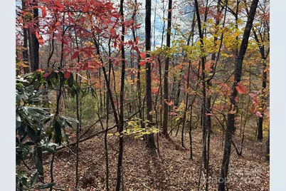 Tbd Globe Road, Lenoir, NC 28645 - Photo 5