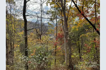 Tbd Globe Road, Lenoir, NC 28645 - Photo 21