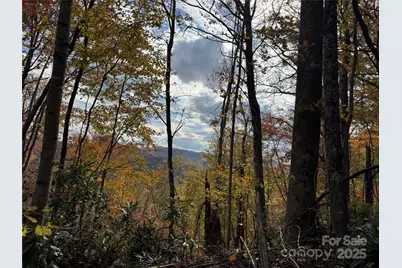 Tbd Globe Road, Lenoir, NC 28645 - Photo 23