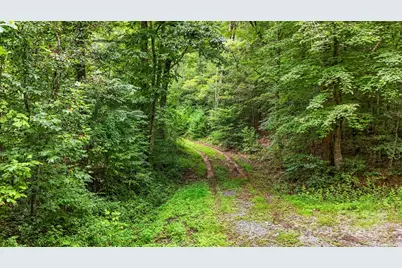 Tbd Globe Road, Lenoir, NC 28645 - Photo 19