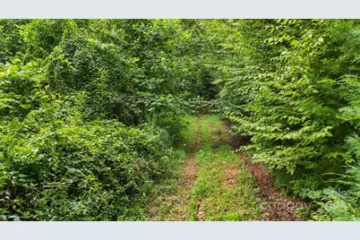 Tbd Globe Road, Lenoir, NC 28645 - Photo 17