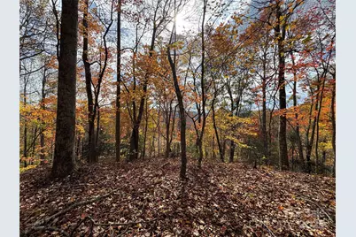 Tbd Globe Road, Lenoir, NC 28645 - Photo 7