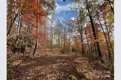 Tbd Globe Road, Lenoir, NC 28645 - Photo 3