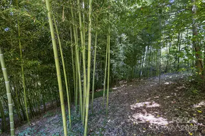 117 Old Dairy Drive, Leicester, NC 28748 - Photo 37